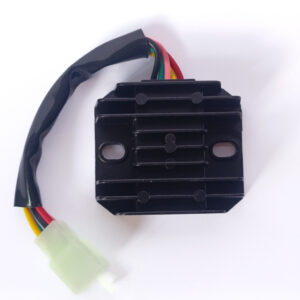 AKT nkd  Regulador AKT